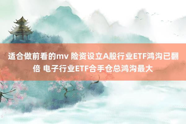 适合做前看的mv 险资设立A股行业ETF鸿沟已翻倍 电子行业ETF合手仓总鸿沟最大